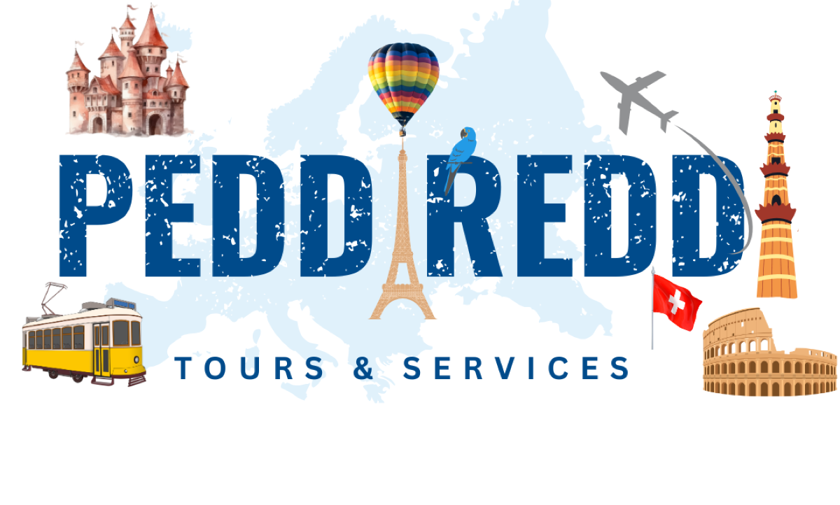 Peddireddi Tours & Services logo